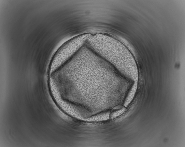 X0000101710803200808071222