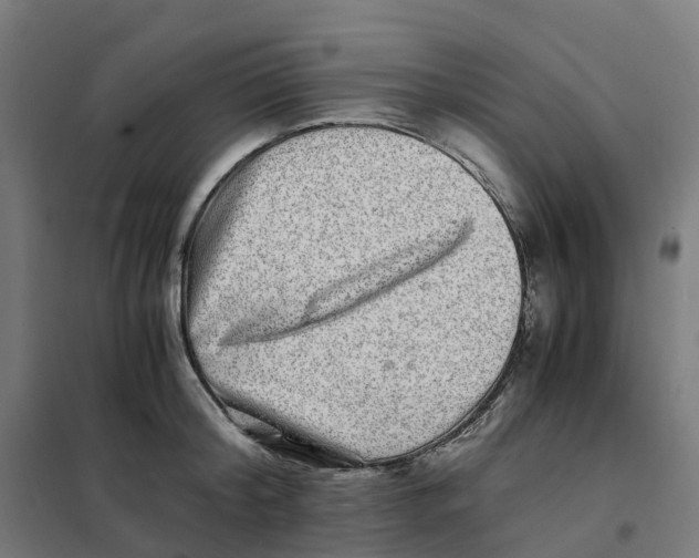 X0000101710804200808071222