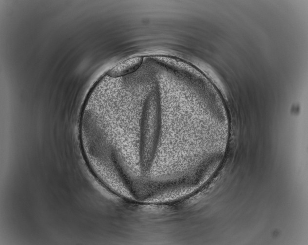 X0000101710805200808071222