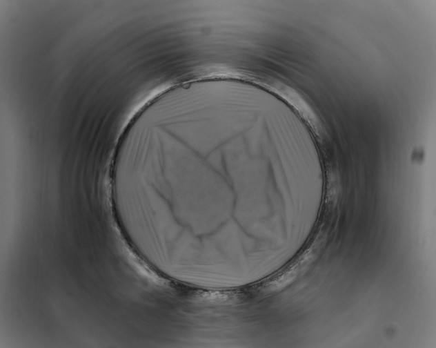 X0000101710806200808071222