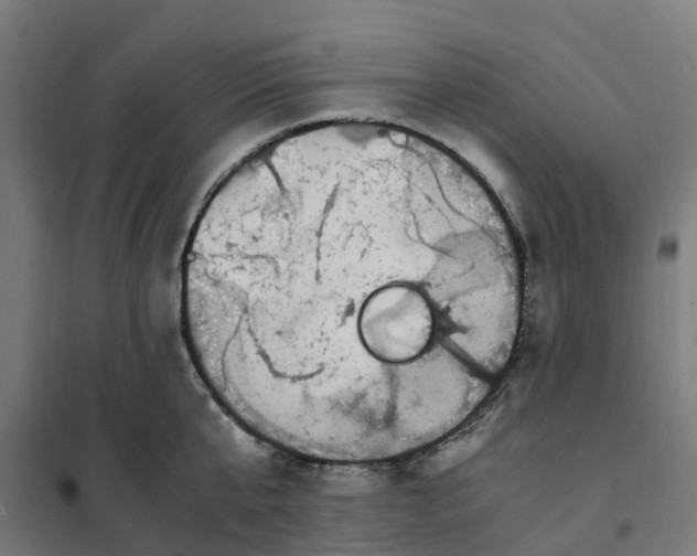 X0000101710807200808071222