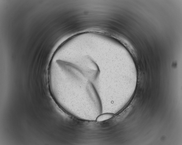 X0000101710808200808071221