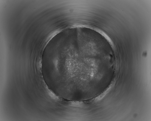 X0000101710809200808071221