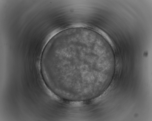 X0000101710810200808071221