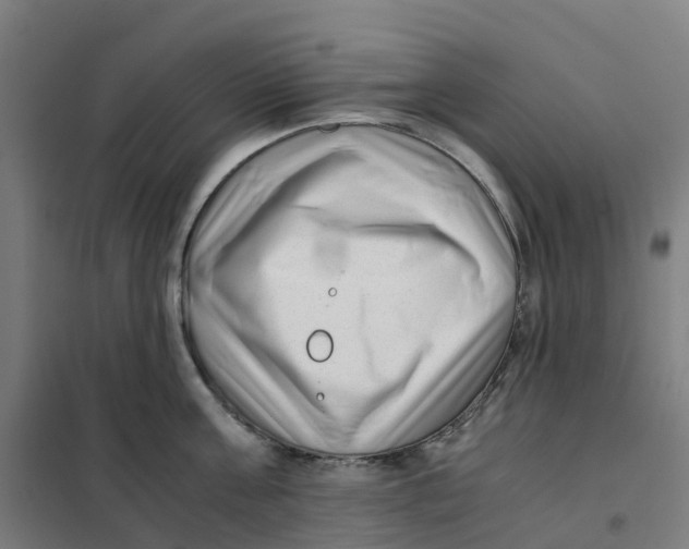 X0000101710811200808071221