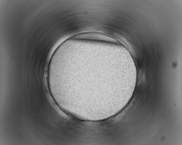 X0000101710812200808071221