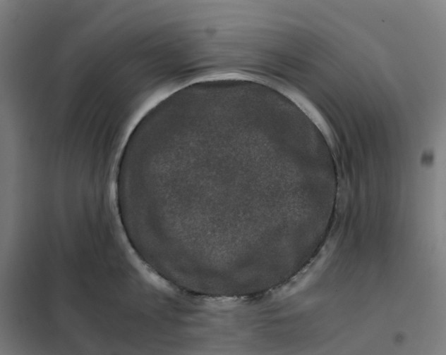 X0000101710813200808071221