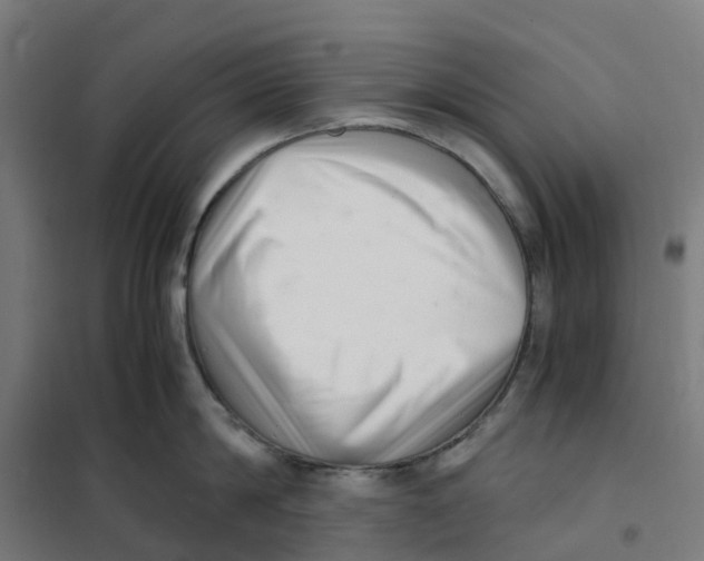 X0000101710814200808071221