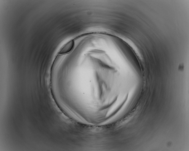 X0000101710815200808071221