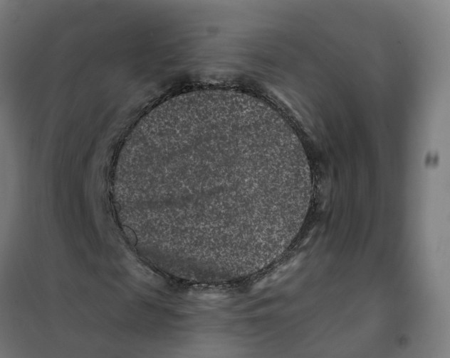 X0000101710817200808071221