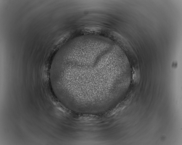 X0000101710819200808071221
