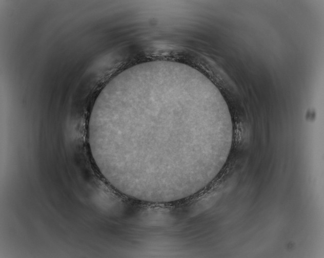 X0000101710820200808071221
