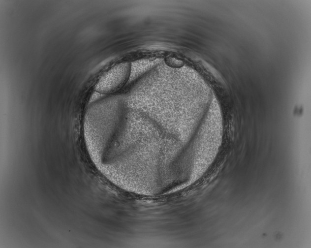 X0000101710821200808071221