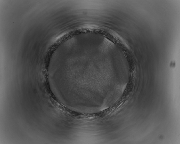X0000101710822200808071221