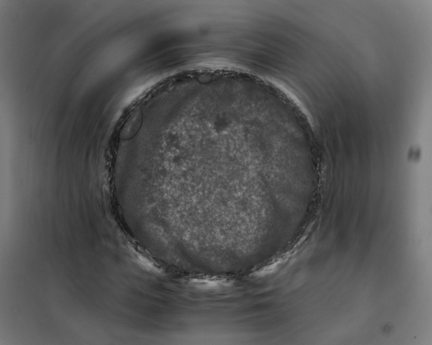 X0000101710823200808071221