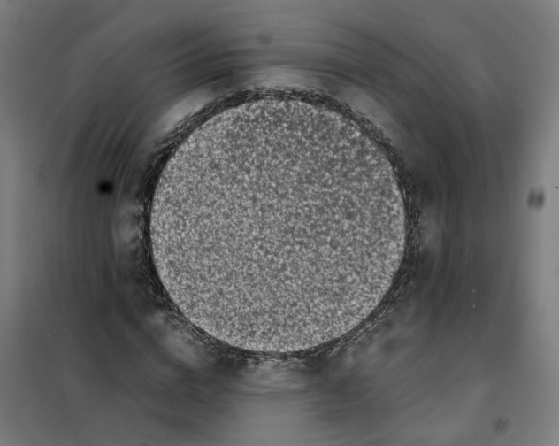 X0000101710824200808071221