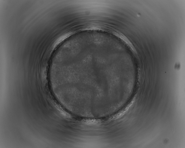 X0000101710826200808071221