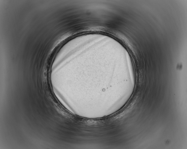X0000101710827200808071221