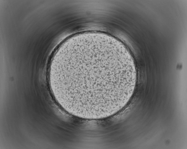 X0000101710828200808071221