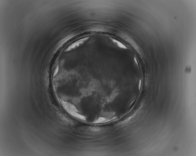 X0000101710829200808071221