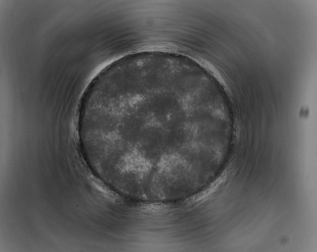 X0000101710830200808071221