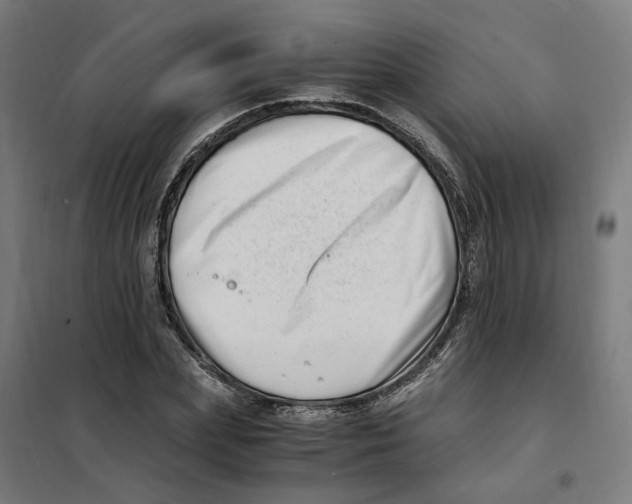 X0000101710831200808071221