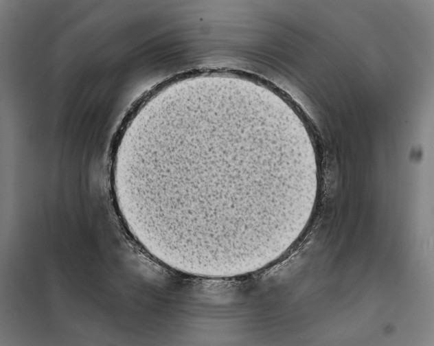 X0000101710832200808071221
