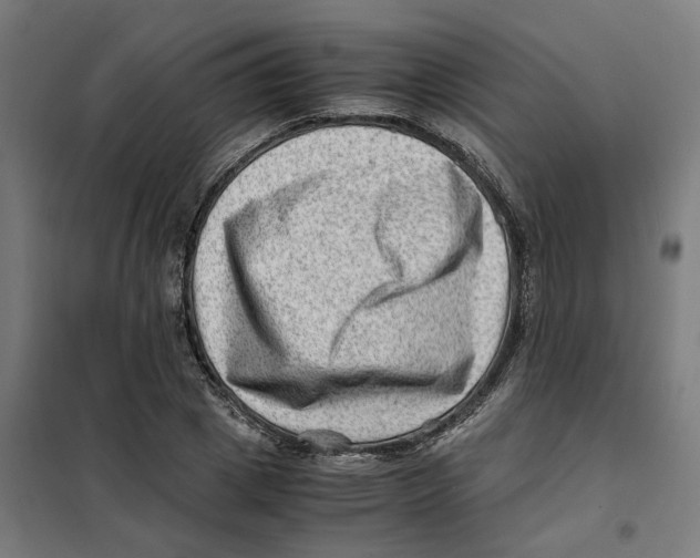 X0000101710833200808071221