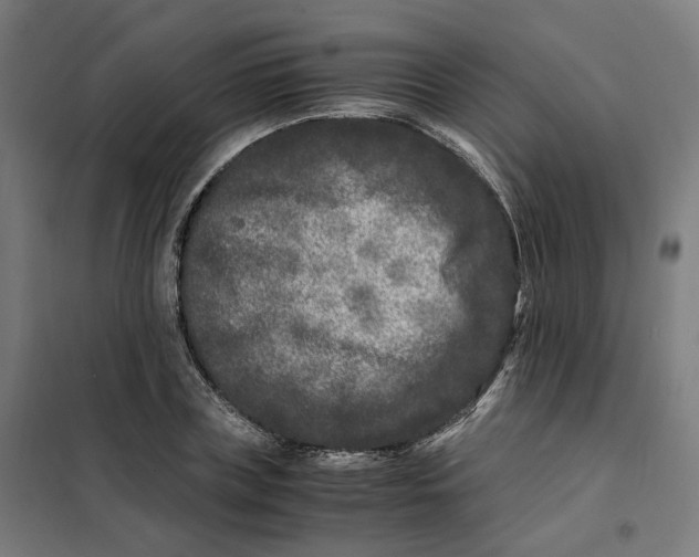 X0000101710835200808071221