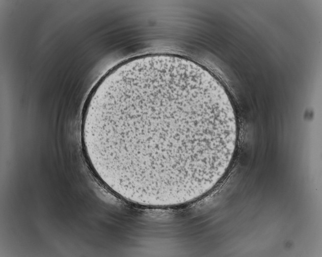 X0000101710836200808071221