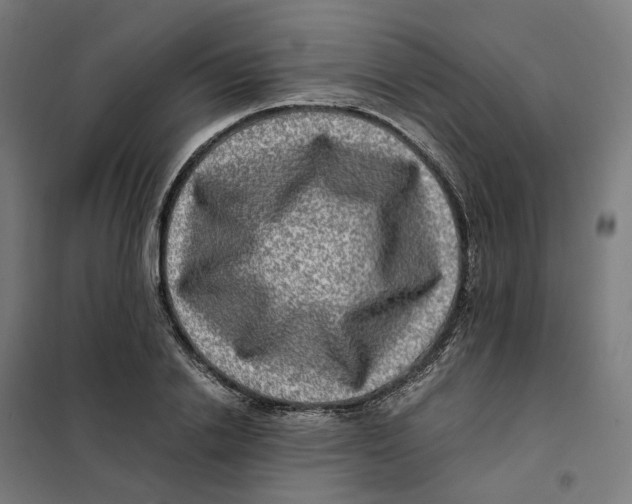 X0000101710838200808071221