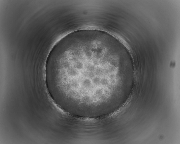 X0000101710839200808071221