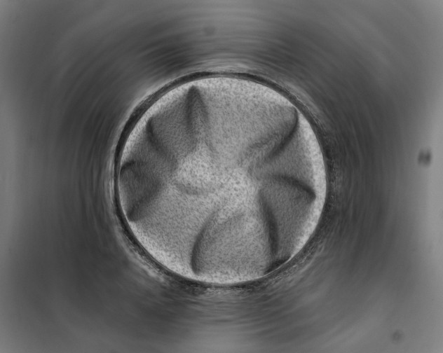 X0000101710840200808071221