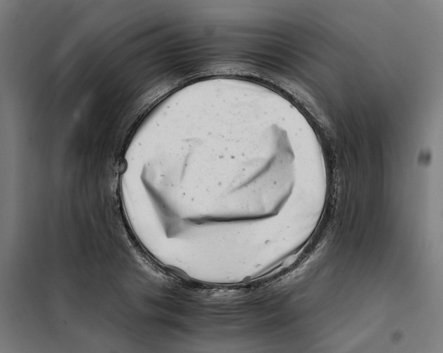 X0000101710841200808071221