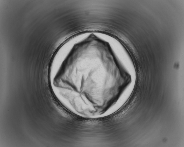 X0000101710842200808071221