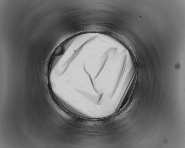 X0000101710843200808071221