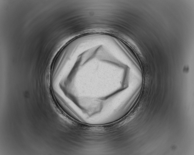 X0000101710844200808071221