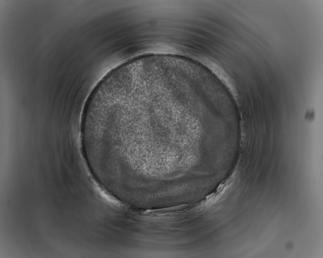X0000101710845200808071221