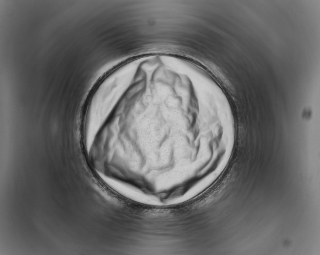 X0000101710846200808071221