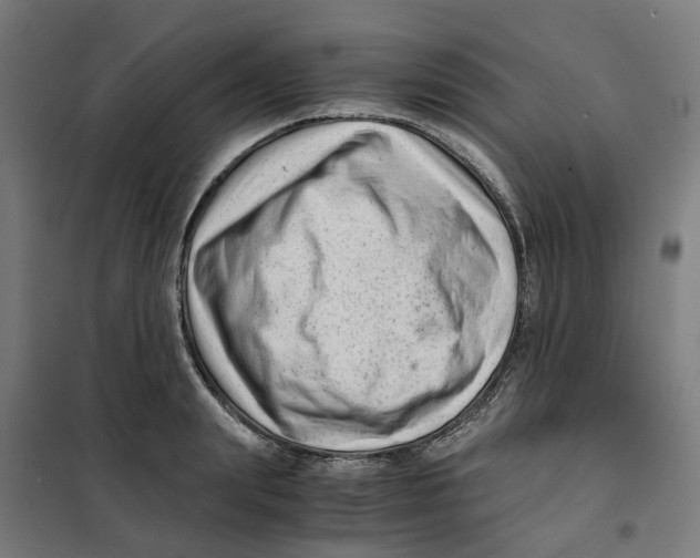 X0000101710847200808071221
