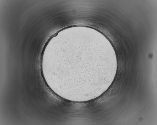 X0000101710848200808071221