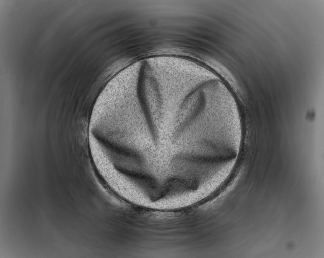 X0000101710849200808071221