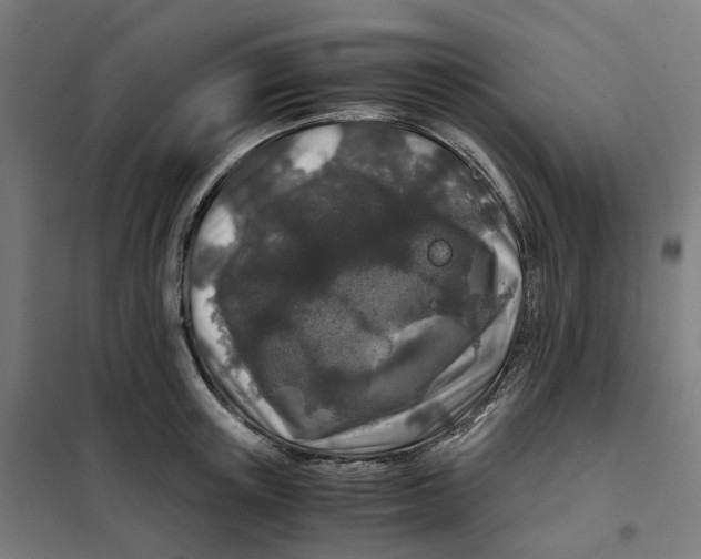 X0000101710851200808071221