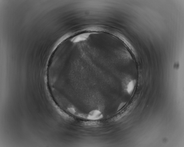 X0000101710853200808071221