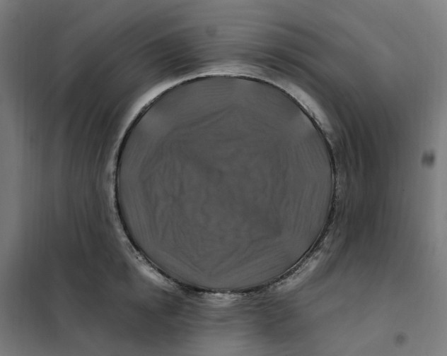 X0000101710854200808071221
