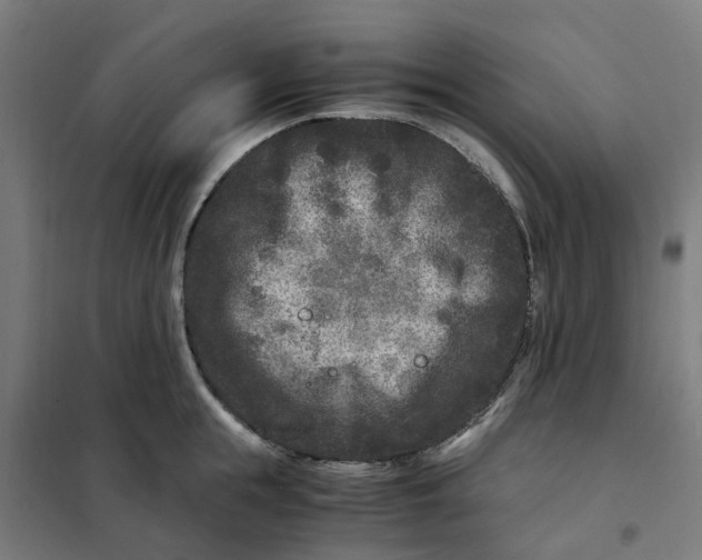 X0000101710855200808071221