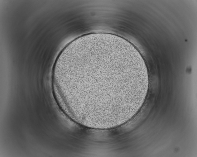 X0000101710856200808071221