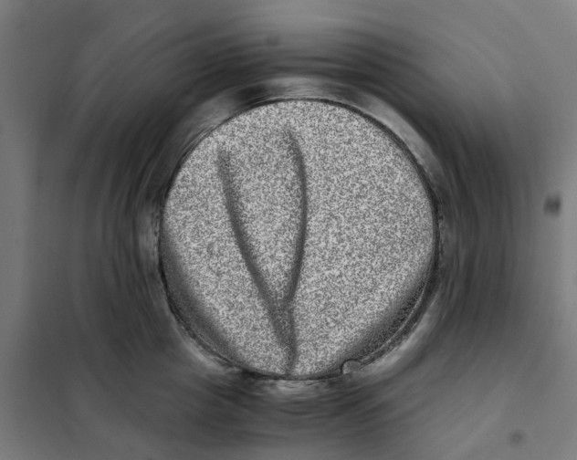 X0000101710857200808071221