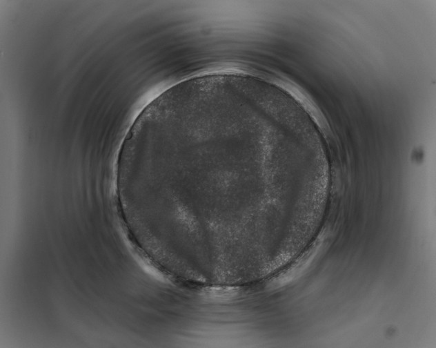 X0000101710858200808071221