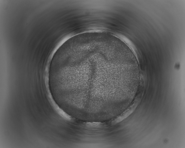 X0000101710859200808071221